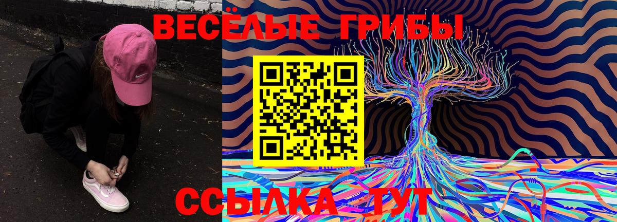 Псилоцибиновые грибы MAGIC MUSHROOMS Камышин