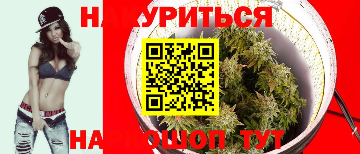 Бошки Шишки сатива Камышин