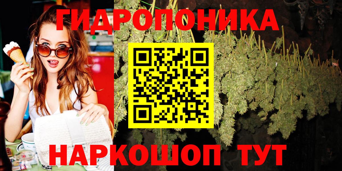 Шишки марихуана VHQ  Канабис THC 21%  Камышин  Вход с VPN  Бошки марихуана SATIVA & INDICA  Канабис сатива 